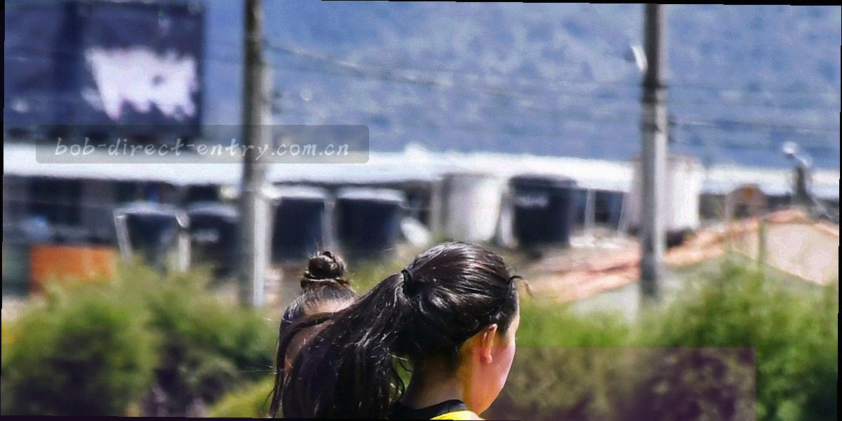 由赛季索引刻度与网格线构成的归档抽象图